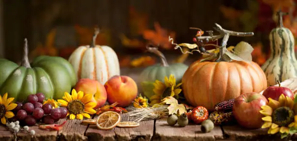 Photo of Autumn Pumpkins Background