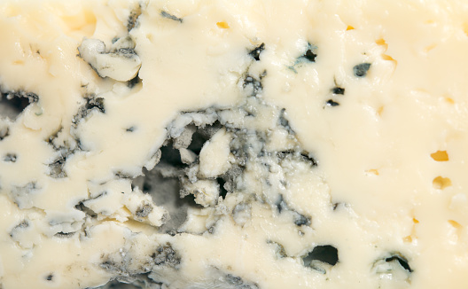 Blue cheese background
