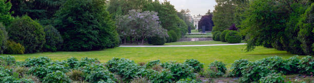 istock Milan, Italy. View on Arco della Pace from Sempione park. Empty park during total quarantine epidemic in the city.Parks closed due to COVID-19. Coronavirus pandemic outbreak in Europe 1265129298