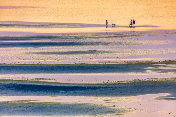 The Vancouver Island coast on August 03, 2017: Family beach walk at a sunrise low tide at Rathtrevor Park on Vancouver Island, British Columbia