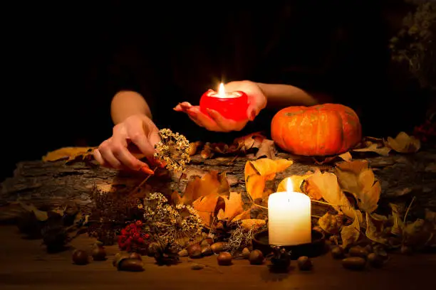 Forest witch at work on the altar. Female hands with sharp red nails among candles, herbs, pumpkin, nuts, dry leaves, ashberry, selected focus, low key. Halloween, Samhain night, autumn, magic, witchcraft, pagan, voodoo, ritual concept