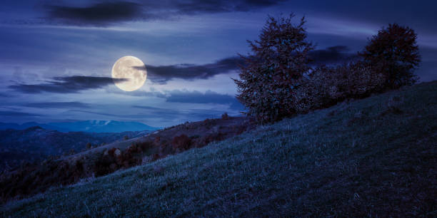 istock autumnal rural landscape at night 1265135636