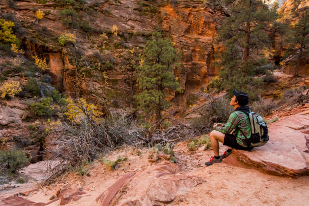 Hiker in Zion National park. stock photo