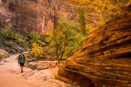 Male hiker on East Rim trail in Zion national park.