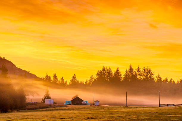 The Vancouver Island coast on November 01, 2019: Misty early morning  sunrise on an Agricultural field located on Vancouver Island, British Columbia