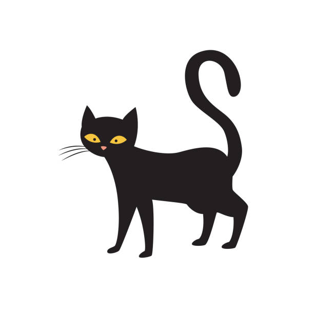 Magic black cat character standing alone, flat vector illustration isolated. Magic black cat cartoon character standing alone, flat vector illustration isolated on white background. Occult and astrology, symbol of bad luck and misfortune. black cat stock illustrations