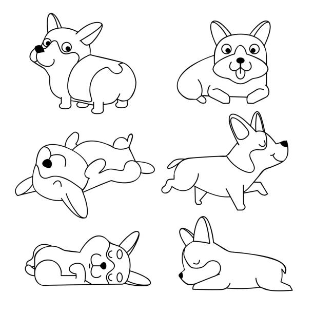 귀여운 만화 캐릭터 코기 개. 흰색 배경에 벡터 코기 강아지 고립. 색칠 공부를위한 페이지입니다. 아이들의 창의력을 위한 색칠 공부책. - coloring dog pets puppy stock illustrations