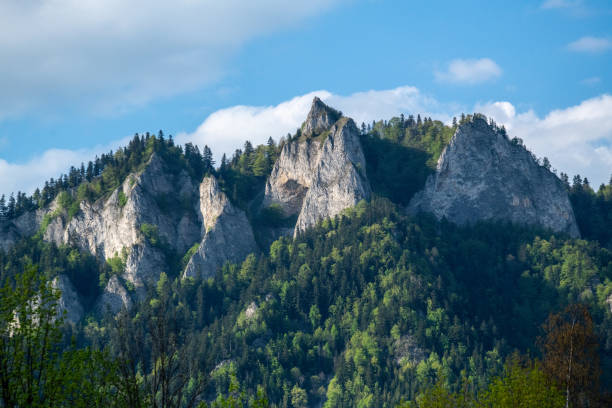 View from Dunajec river to Three Crowns stock photo