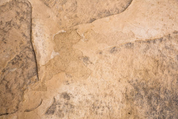 istock Texture of the concrete floor 1265148127