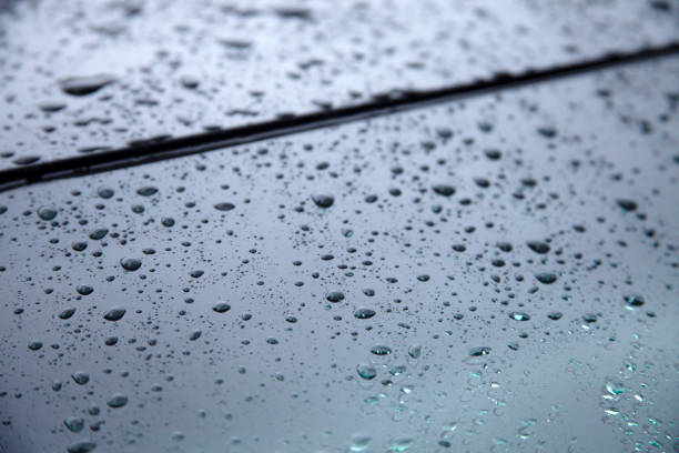 Water drops collect on top of metallic car surface