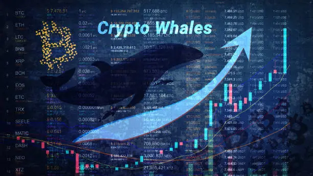 Growth in the number of crypto whales with an upward arrow and a chart rushing upward. Increase in large clusters of BTС. Coin names and numbers on a dark background. Bitcoin logo. Horizontal.