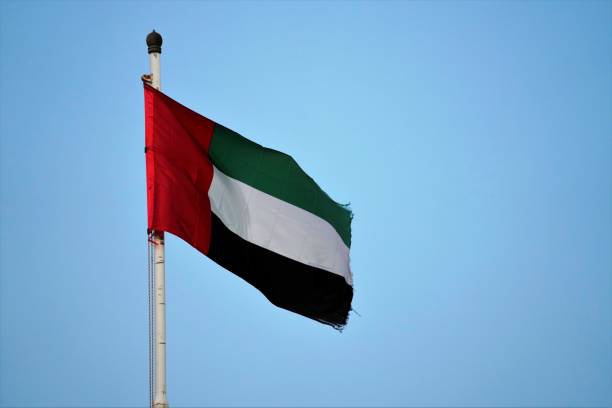 istock Waiving UAE flag by clear blue sky 1265158004