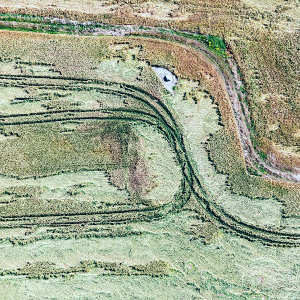istock aerial view over the rural fields 1265158968