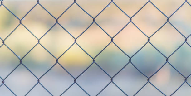 istock metal mesh fence texture 1265159300