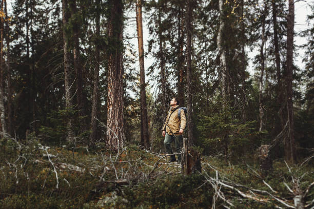 istock A man makes his way through thickets in the deep taiga forest 1265161409