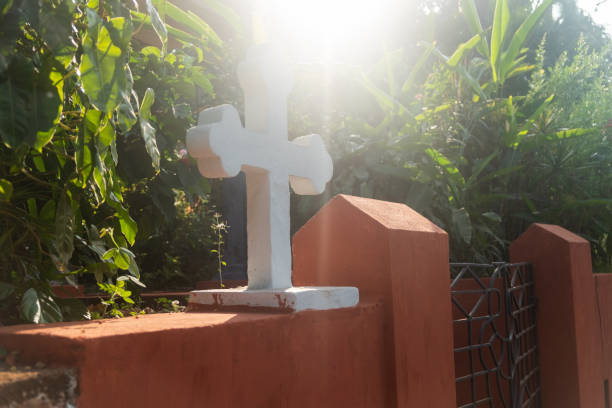 istock Fence of an old house in Goa 1265161645