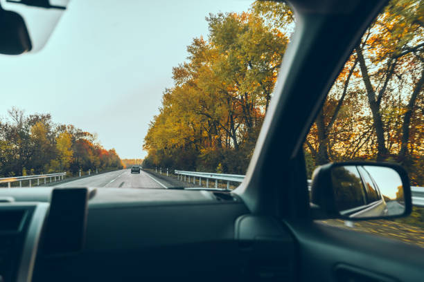 istock autumn car travel concept trees with yellow leaves 1265161663