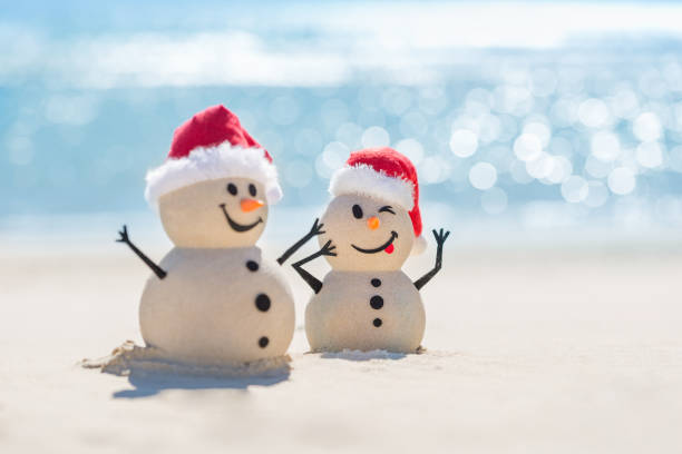 istock Sandy Christmas Snowmen are celebrating Christmas 1265161764