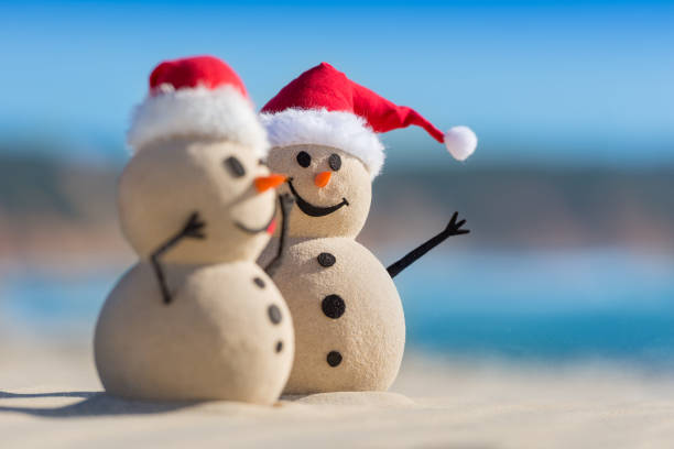 istock Sandy Christmas Snowmen are celebrating Christmas 1265161769