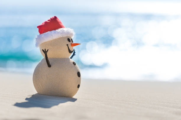 istock Sandy Christmas Snowman is celebrating Christmas 1265161773