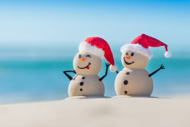 istock Sandy Christmas Snowmen are celebrating Christmas 1265161887