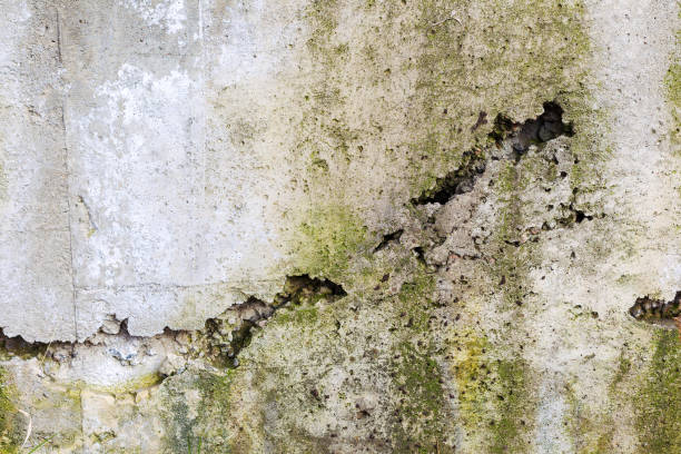 istock Great colorful background or texture. Abstract concrete is aged with cracks, scratches and remnants of old paint in different shades. Rough concrete surface 1265162181