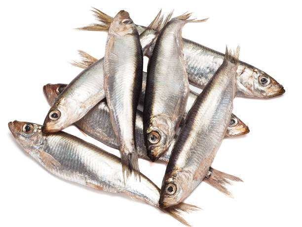istock Sprat spicy salting on white background 1265163942
