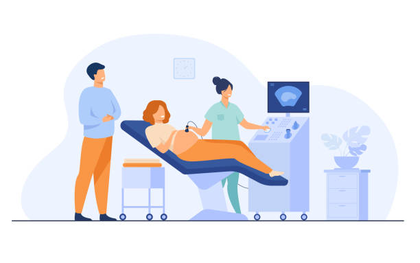 Prenatal care concept Prenatal care concept. Sonographer scanning and examining pregnant woman while expecting father looking at monitor. Vector illustration for medical examination, sonography, ultrasound test topics gynecology stock illustrations