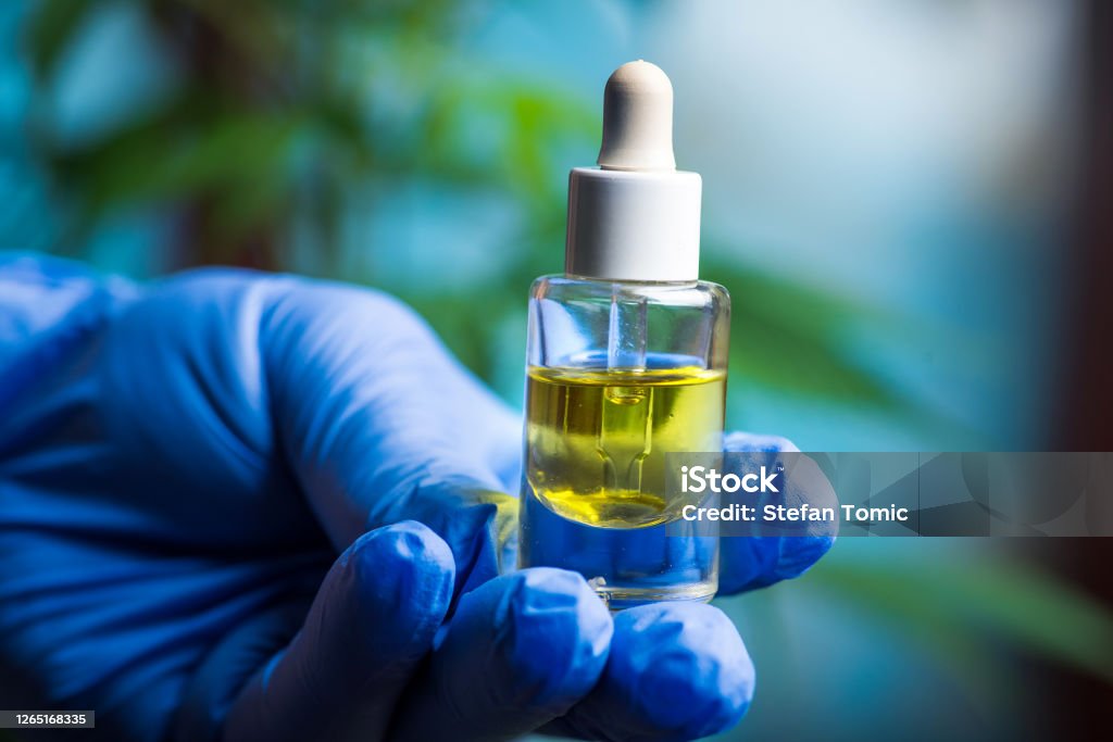 Scientist holding cannabis marijuana oil in a small jar close up Medical research scientist holding cannabis marijuana oil in a small jar close up with leaves in the background Cannabidiol Stock Photo