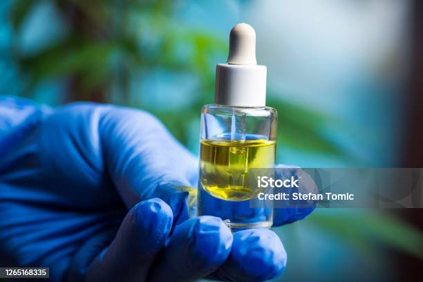 Scientist Holding Cannabis Marijuana Oil In A Small Jar Close Up Stock Photo - Download Image Now