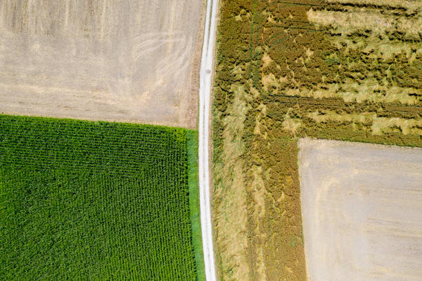 istock Aerial view of field 1265169765