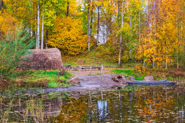 canoe scavate e una capanna d'erba in un lago forestale con colori autunnali - logboat foto e immagini stock