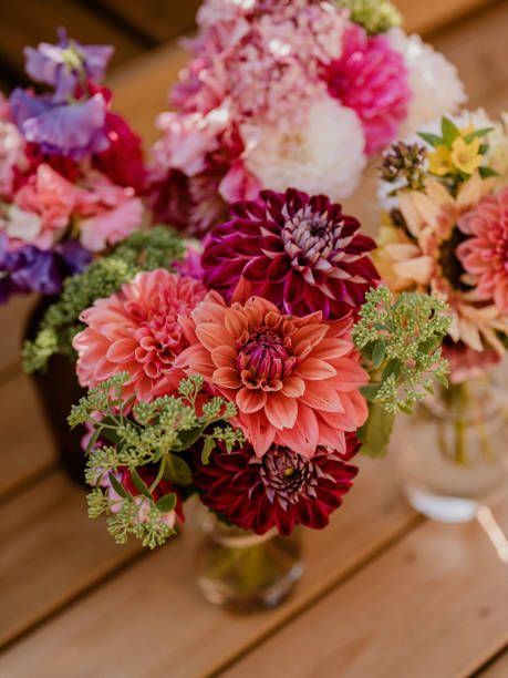 istock Dahlia bouquet close up in summer sunlight 1265174180