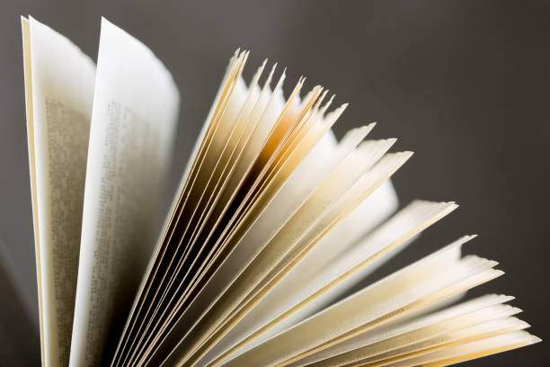 istock open book pages close-up - education and wisdom concept 1265176330