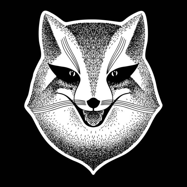 Fox. Stylized portrait of a sly fox on a black background. Sly fox smiles. Black and white sketch. Liar, dodger, mischievous, hoaxer, trickster. Fox. Stylized portrait of a sly fox on a black background. Sly fox smiles. Black and white sketch for tattoo, poster, print or t-shirt. Liar, dodger, mischievous, hoaxer, trickster. pics of a dodgers stock illustrations