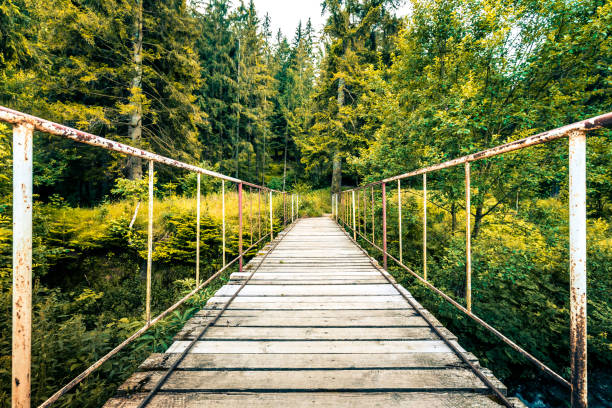 istock Old wooden footbridge leading into wild forest 1265179898