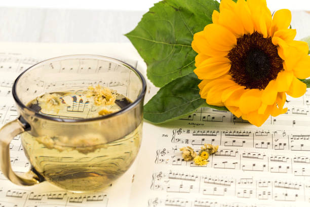 istock Sunflower on the sheet music 1265180539
