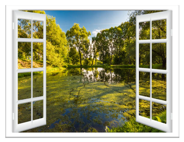 istock views of the pond 1265181282