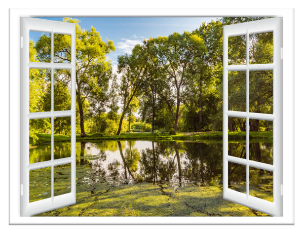 istock views of the pond 1265181283
