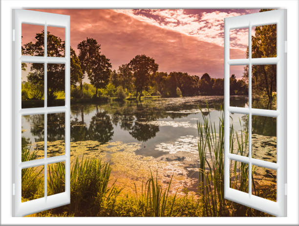 istock views of the pond 1265181291