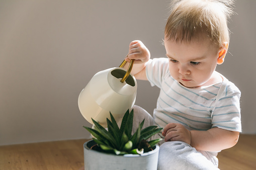A one-year-old baby waters the plant from a small watering can on the floor. Natural motherhood, easy upbringing, home life with a child, child development