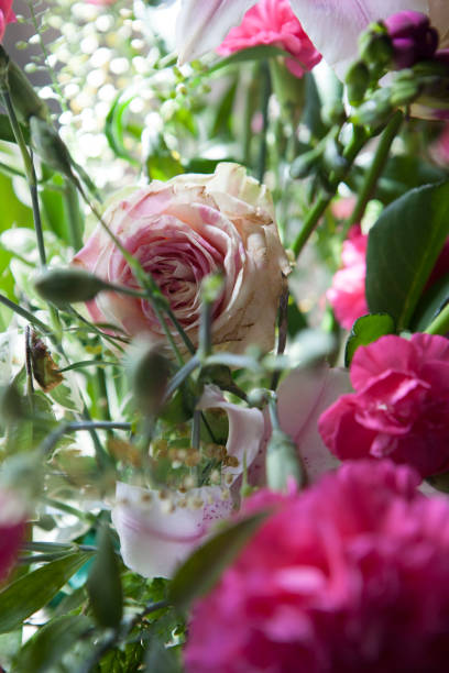 istock Sunlight on church flowers on window sill 1265187581