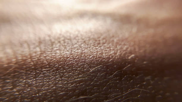 istock Hand pattern. Macro, closuep skin texture. Dermatolofy health care 1265188298