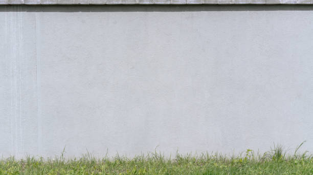 istock large gray empty concrete building wall with blank place for advertising mock-up under green grass 1265188913
