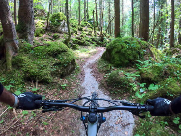 Mountain Bike: riding a fast single trail in the forest in Italy; POV