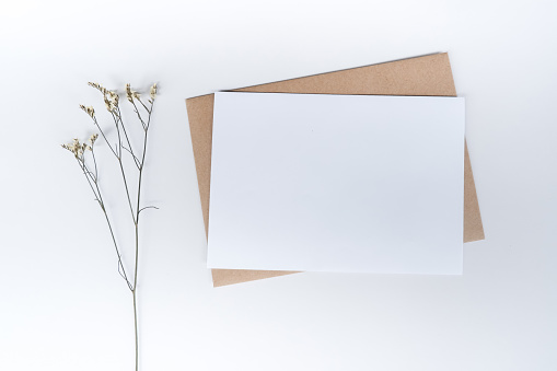 Blank white paper on brown paper envelope with Limonium dry flower. Mock-up of horizontal blank greeting card. Top view of Craft paper envelope on white background. Flat lay minimalism style.