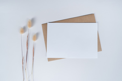 Blank white paper on brown paper envelope with Rabbit tail dry flower. Mock-up of horizontal blank greeting card. Top view of Craft paper envelope on white background. Flat lay minimalism style.