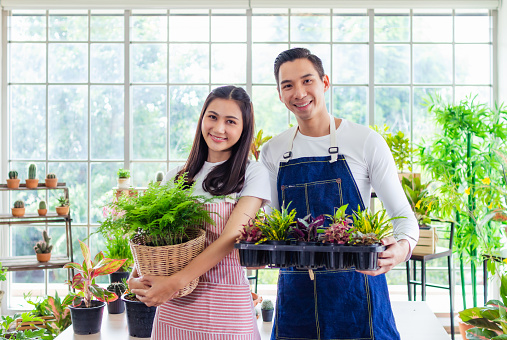 Beautiful portrait young asian woman and handsome man harvest and picking up fresh potted plant garden.Happy owner wear apron indoor garden