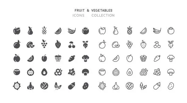 Vector illustration of Flat & Outline Fruit Vegetables Icons