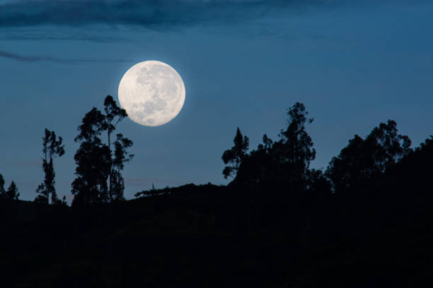 Beautiful full moon rising from the horizon, very radiant between trees